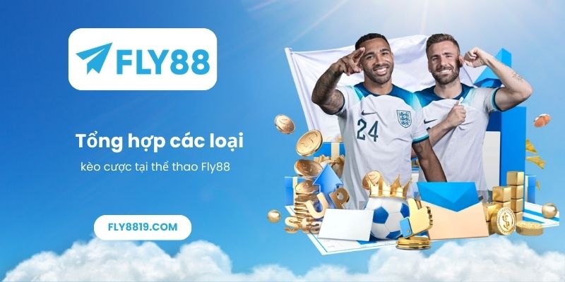 Tổng hợp các loại kèo cược tại thể thao Fly88